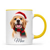 Personalised Christmas Cartoon Pet Portrait Mug from Your Photo