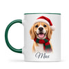 Personalised Christmas Cartoon Pet Portrait Mug from Your Photo