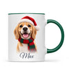 Personalised Christmas Cartoon Pet Portrait Mug from Your Photo